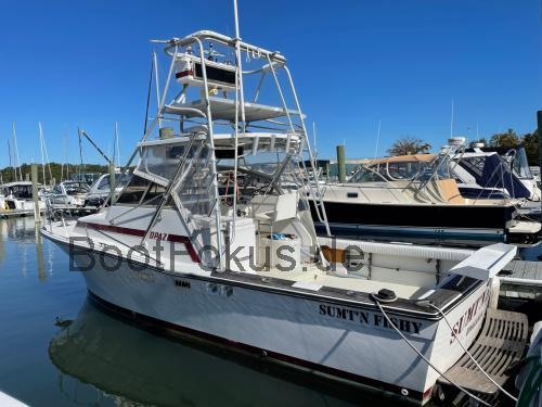 Topaz 29  technische daten 